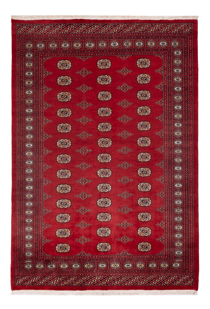 Pakistani Rug - 235 x 165 cm - red