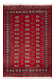 Pakistani Rug 235x165cm - Oriental Rug