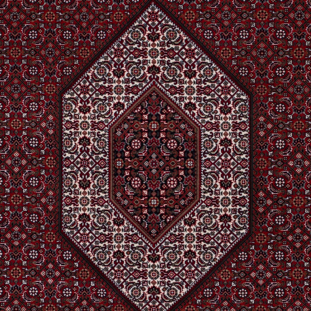 Oriental Rug - Bidjar - Indus - 298 x 200 cm - dark camel