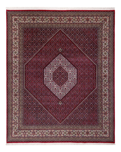 Indo Bidjar Rug 247x300cm - Oriental Rug - dark red