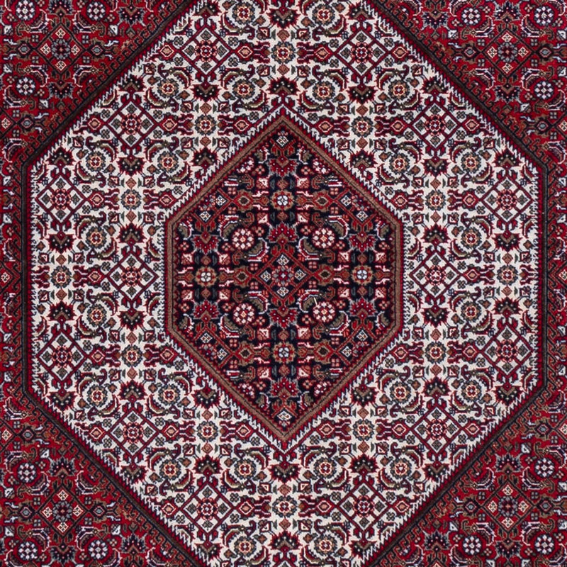Oriental Rug - Bidjar - Indus - 300 x 247 cm - dark red