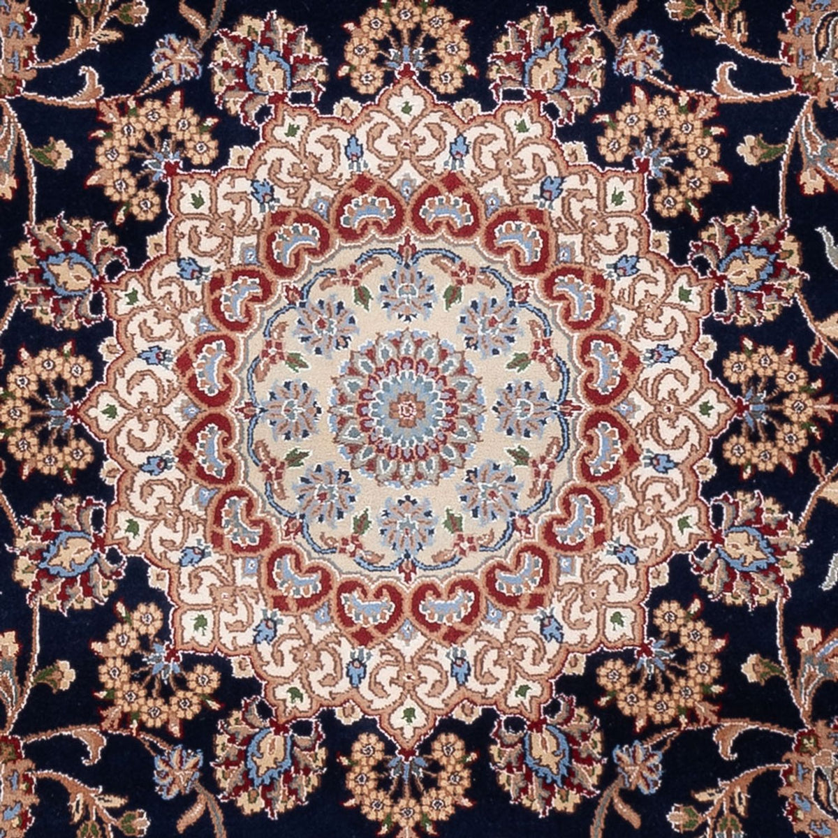 Oriental Rug - Nain - Indus - 309 x 251 cm - dark blue
