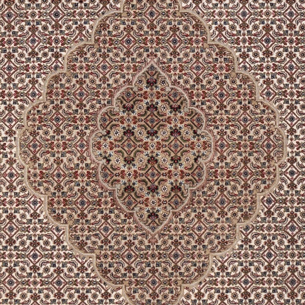 Oriental Rug - Tabriz - 304 x 249 cm - dark beige
