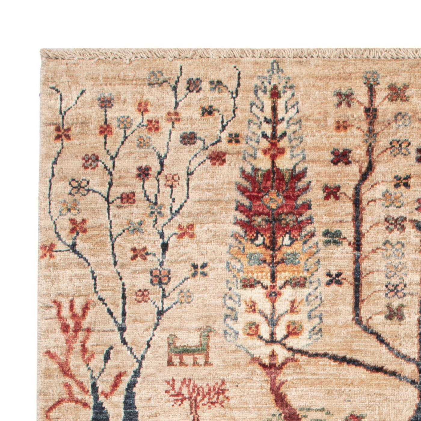 Ariana Rug 144x102cm - Oriental Rug