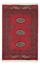 Pakistani Rug 61x90cm - Oriental Rug