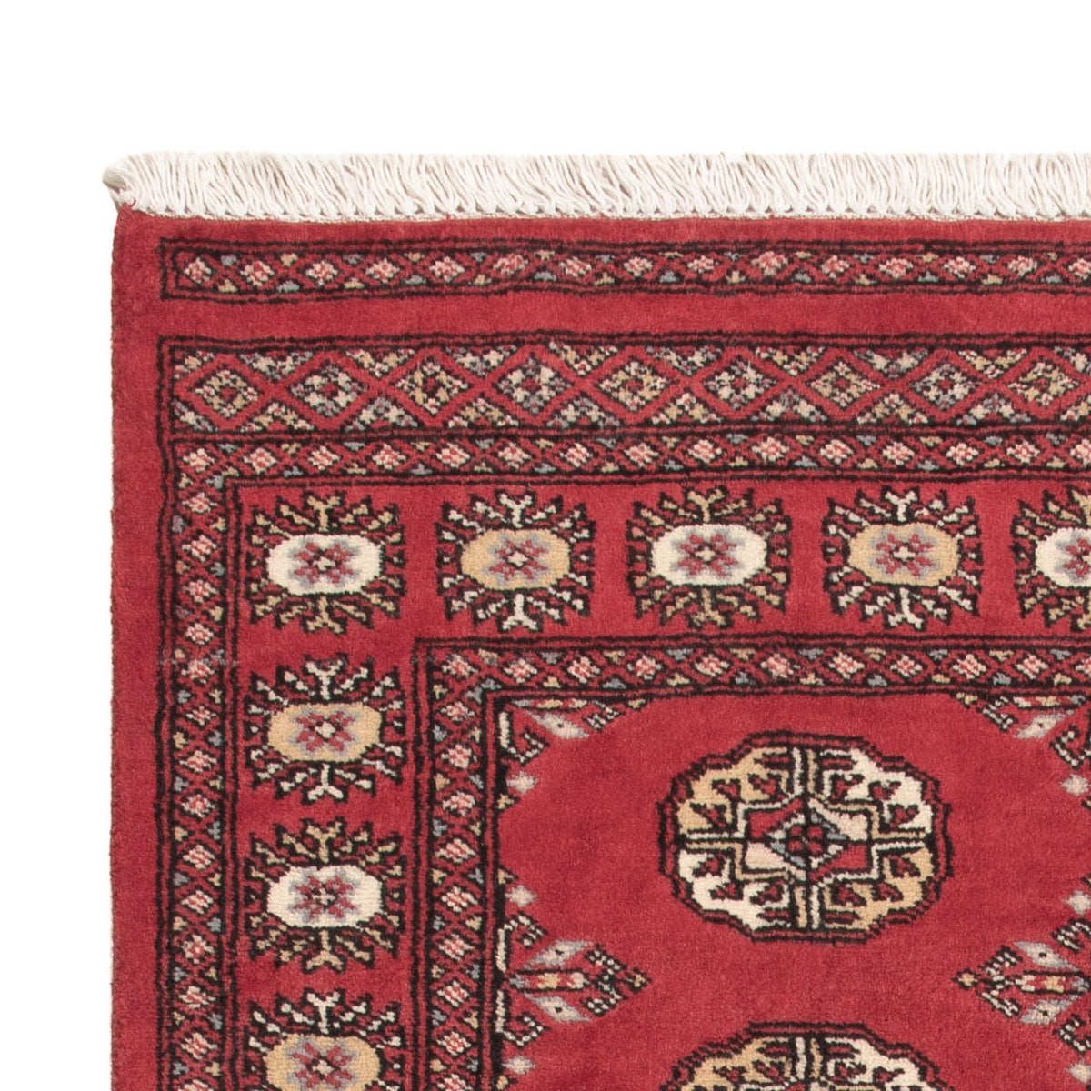 Pakistani Rug - 156 x 92 cm - red