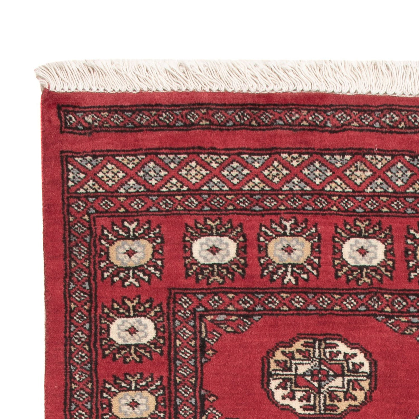 Pakistani Rug 154x95cm - Oriental Rug