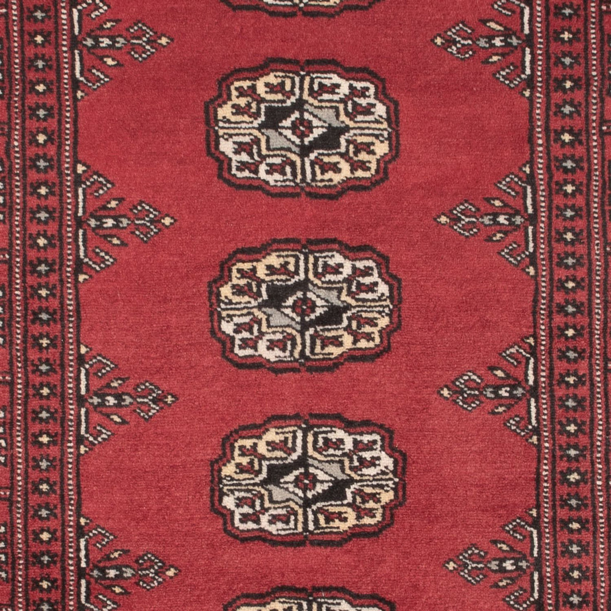 Pakistani Rug - 163 x 94 cm - red