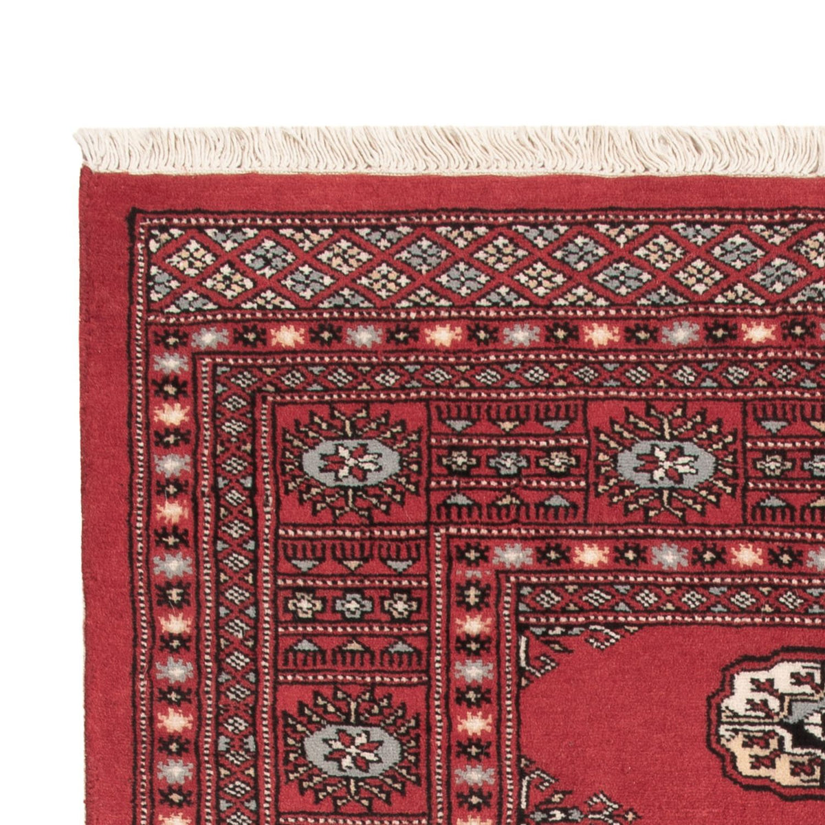 Pakistani Rug 93x150cm - Oriental Rug