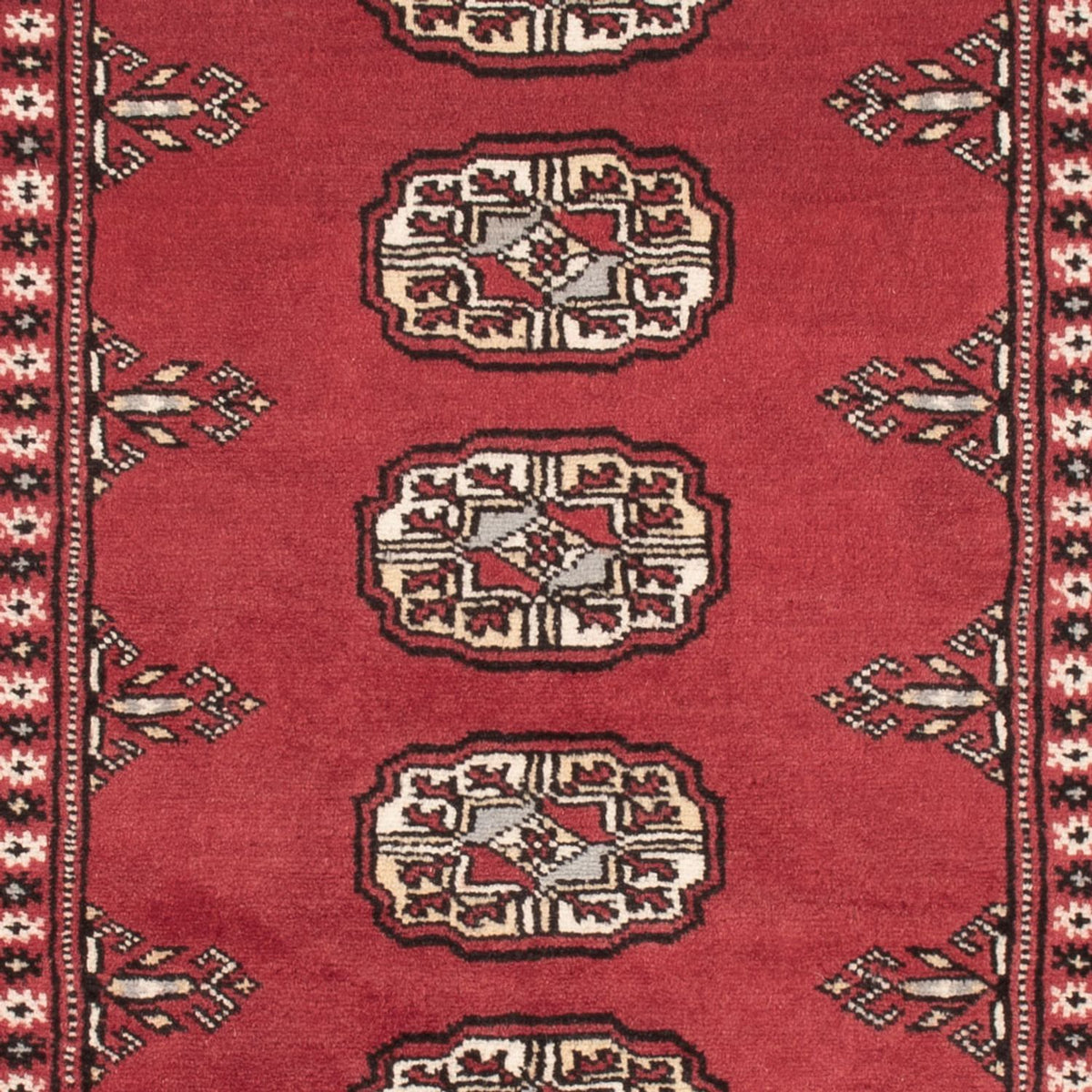 Pakistani Rug - 159 x 92 cm - red
