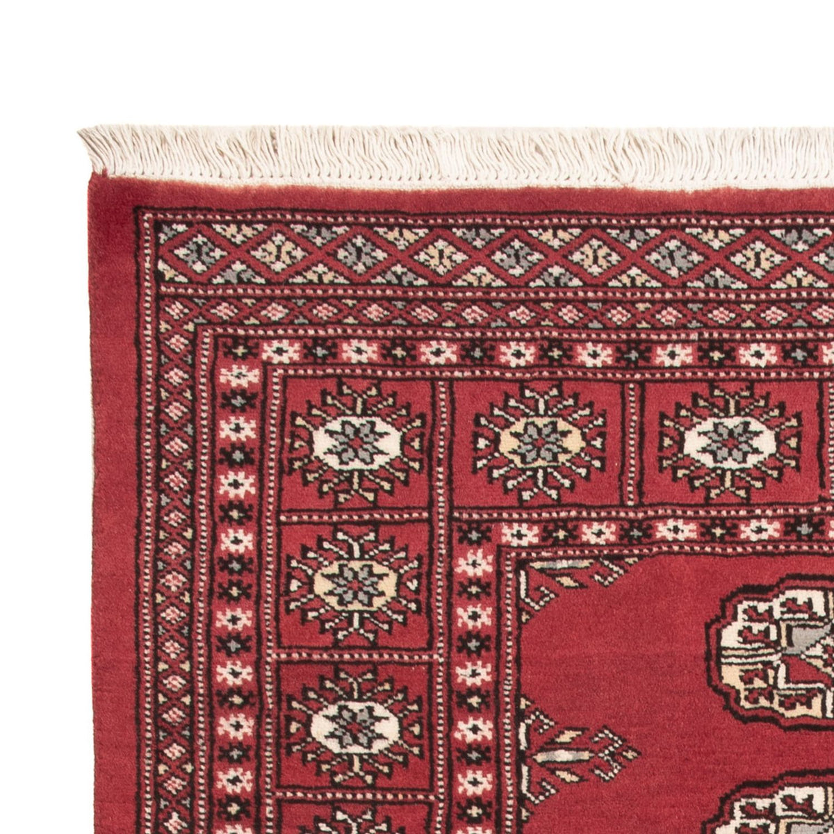 Pakistani Rug - 159 x 92 cm - red