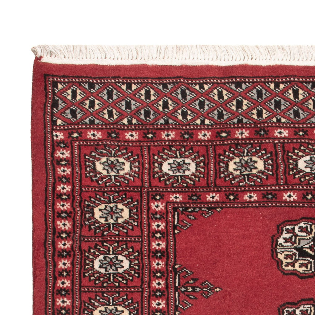 Pakistani Rug - 152 x 97 cm - red