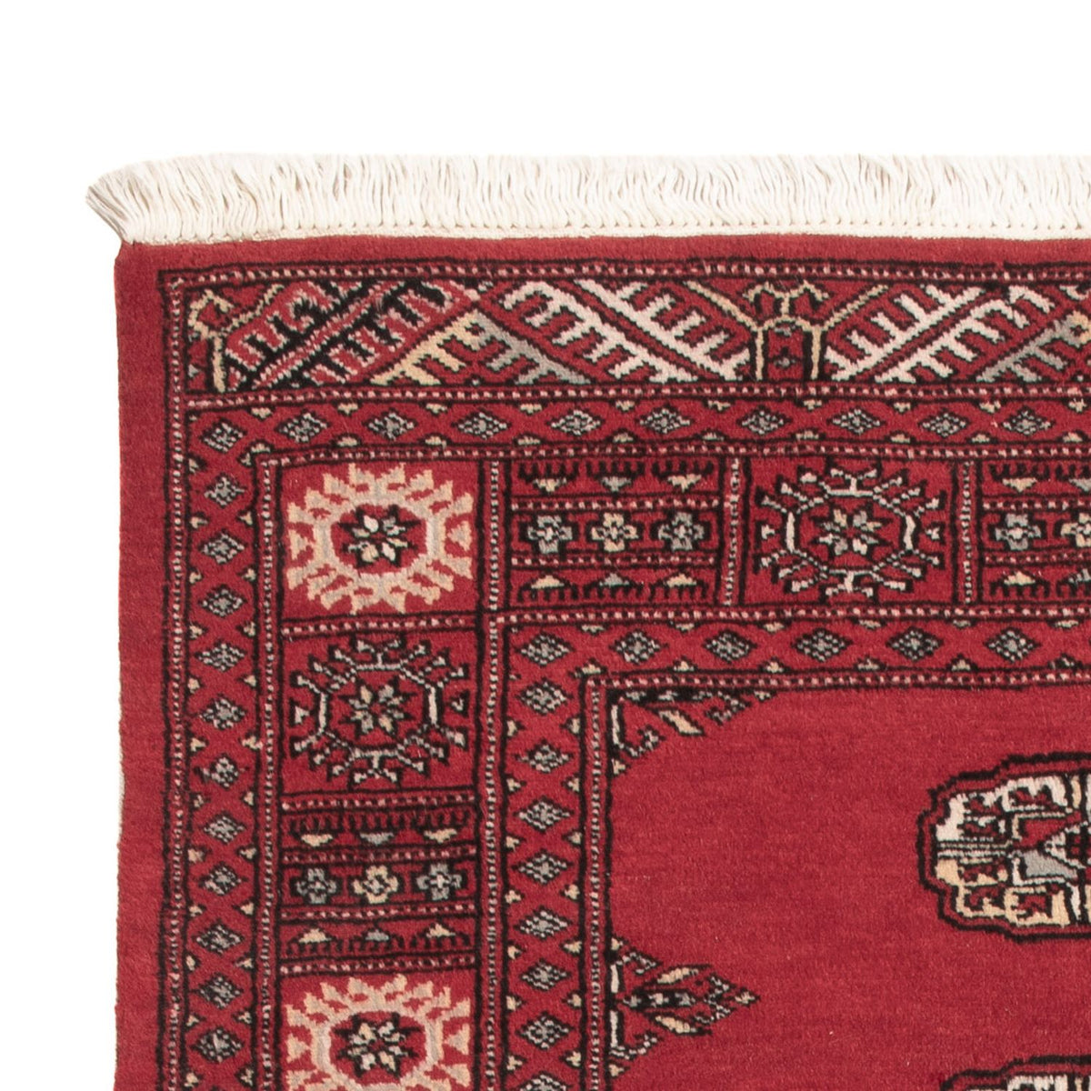 Pakistani Rug - 151 x 92 cm - red