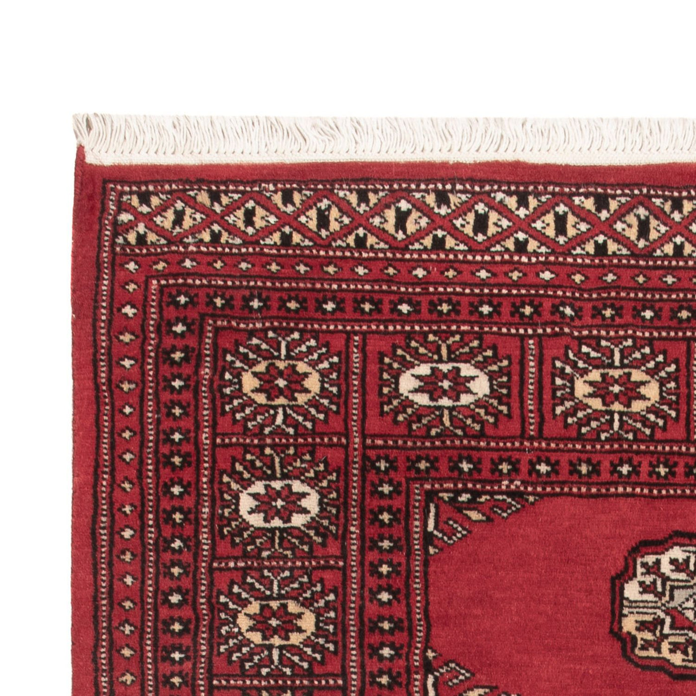 Pakistani Rug 146x90cm - Oriental Rug
