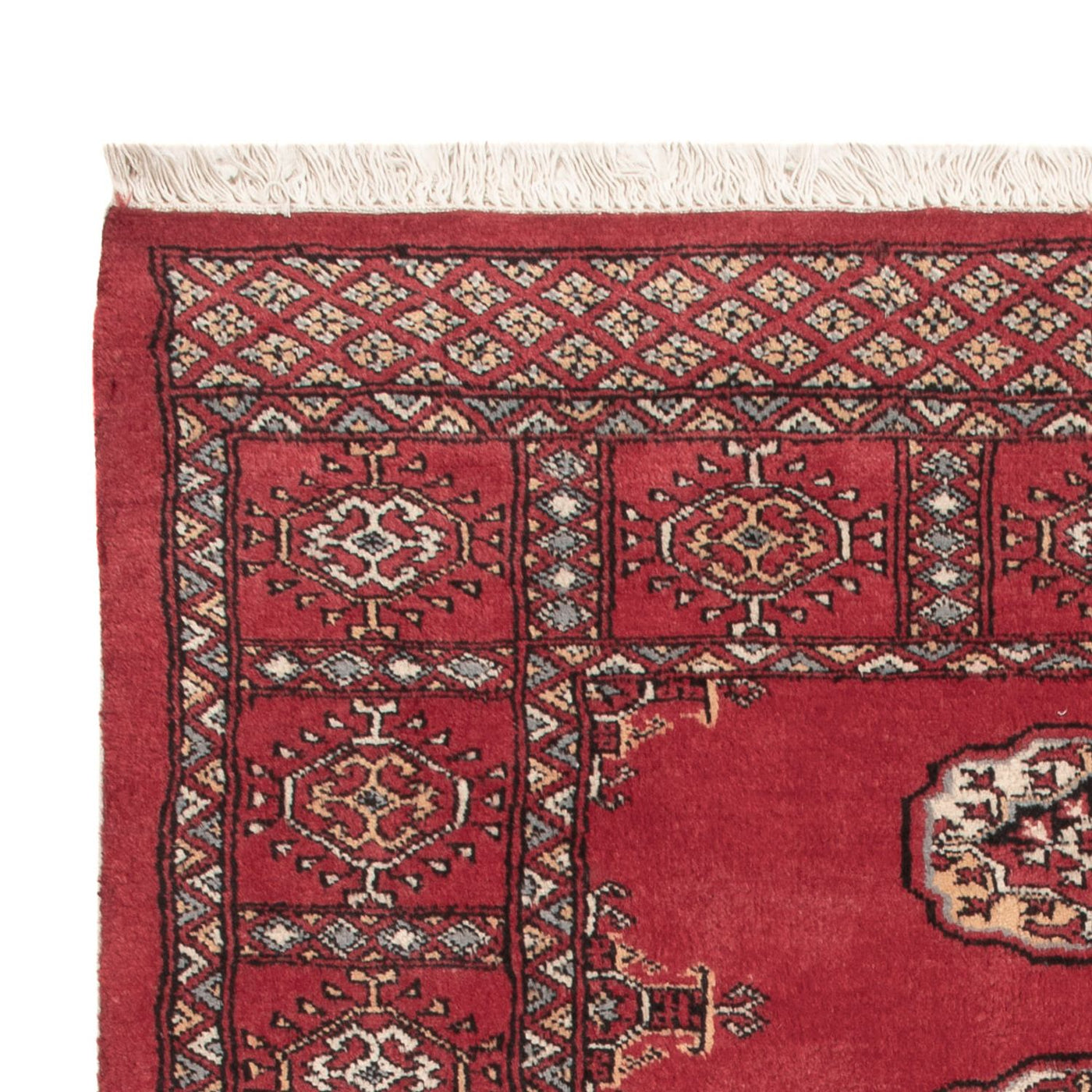 Pakistani Rug 145x94cm - Oriental Rug