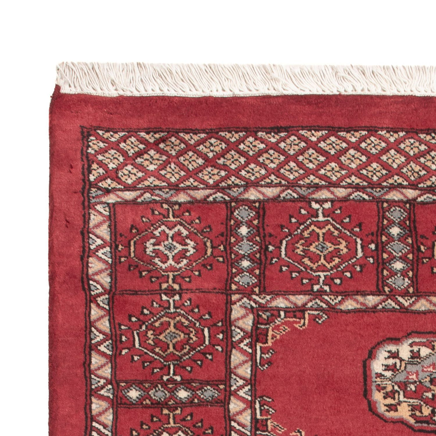 Pakistani Rug 146x89cm - Oriental Rug