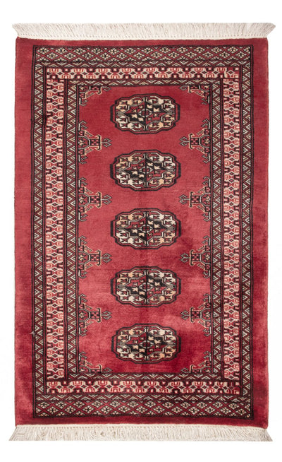 Pakistani Rug 80x120cm - Oriental Rug