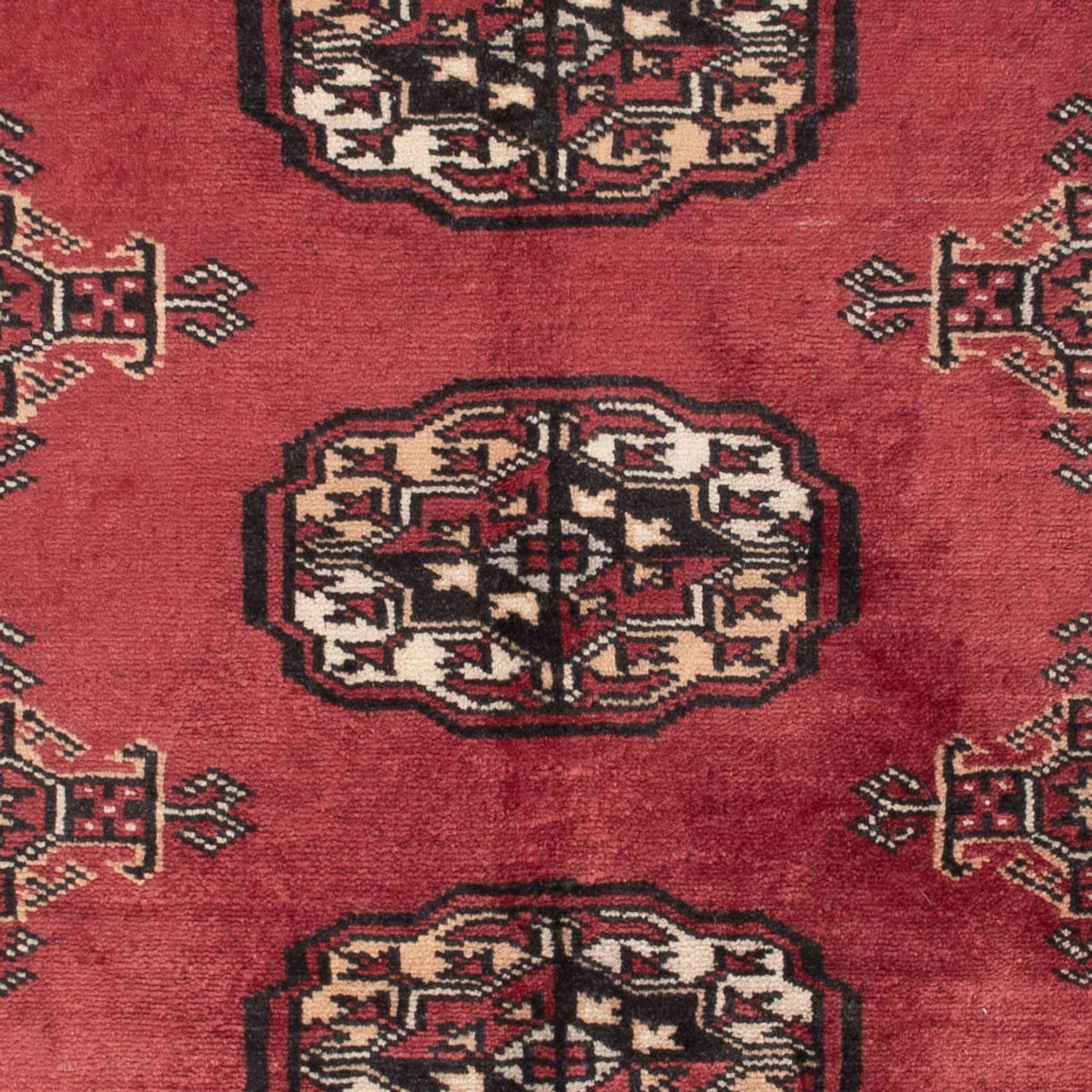 Pakistani Rug - 120 x 80 cm - red