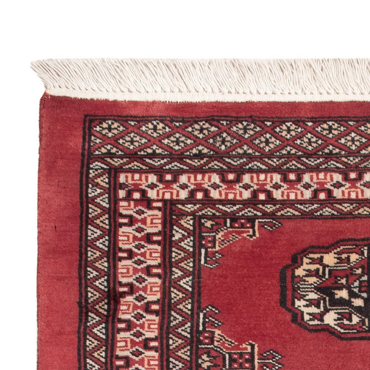 Pakistani Rug 80x120cm - Oriental Rug