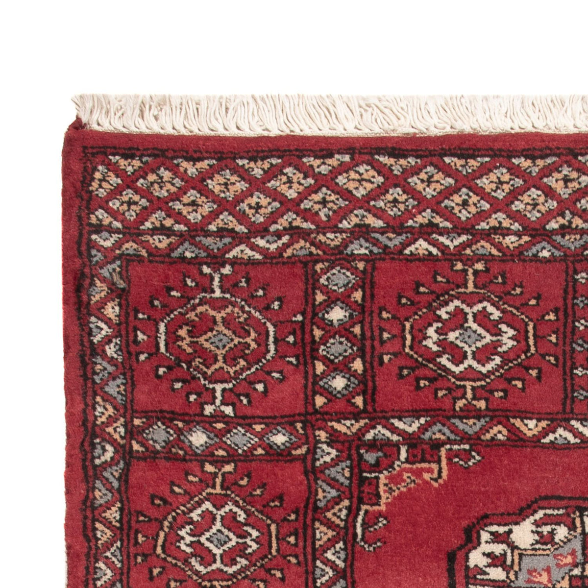 Pakistani Rug 78x124cm - Oriental Rug