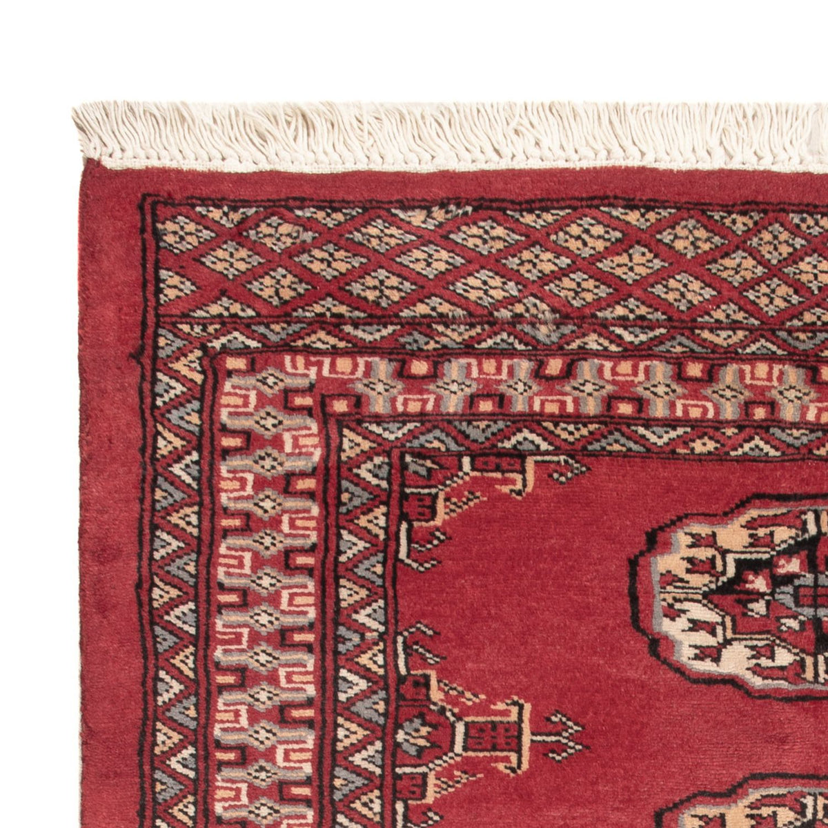 Pakistani Rug 80x117cm - Oriental Rug