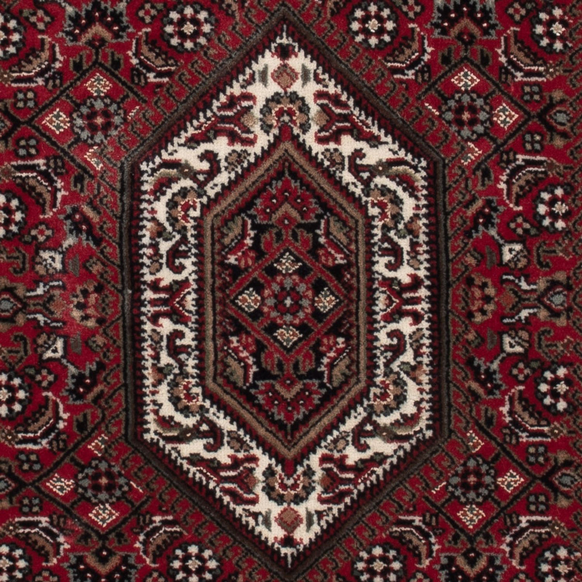 Oriental Rug - Bidjar - Indus - 141 x 73 cm - dark beige