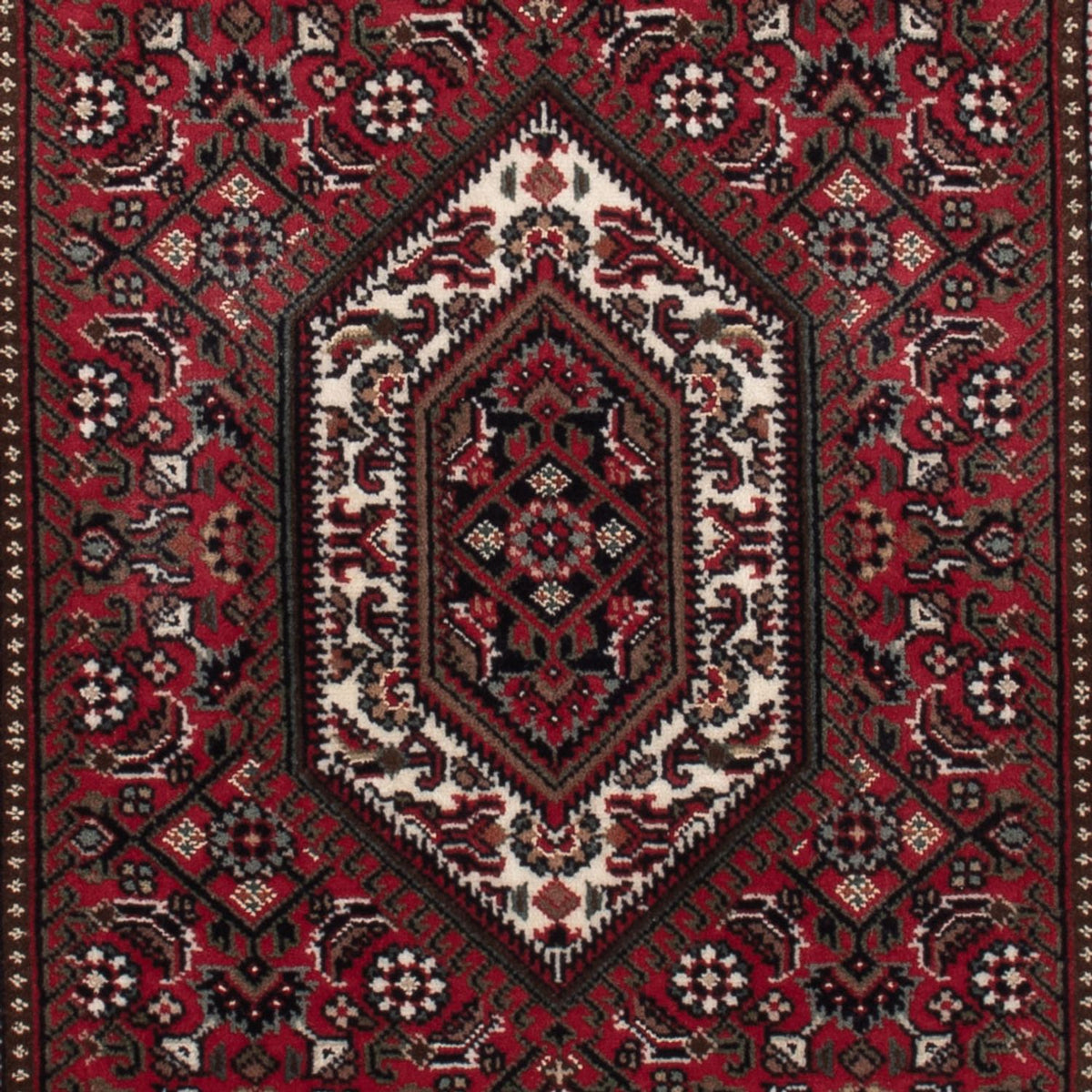 Oriental Rug - Bidjar - Indus - 143 x 73 cm - dark beige