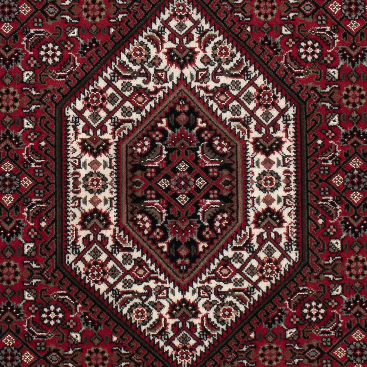 Oriental Rug - Bidjar - Indus - 159 x 91 cm - dark beige