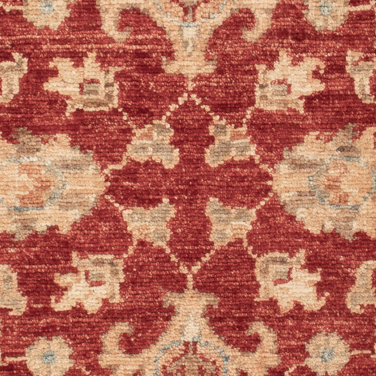 Ziegler Rug - 85 x 59 cm - red