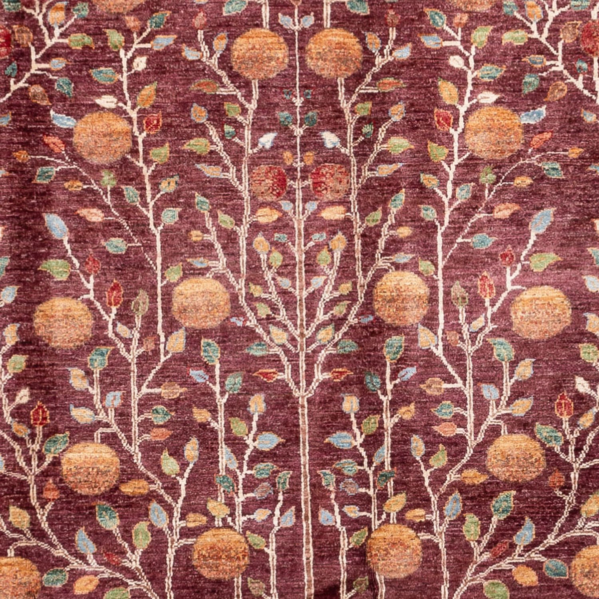 Ziegler Rug - Ariana - 300 x 206 cm - red