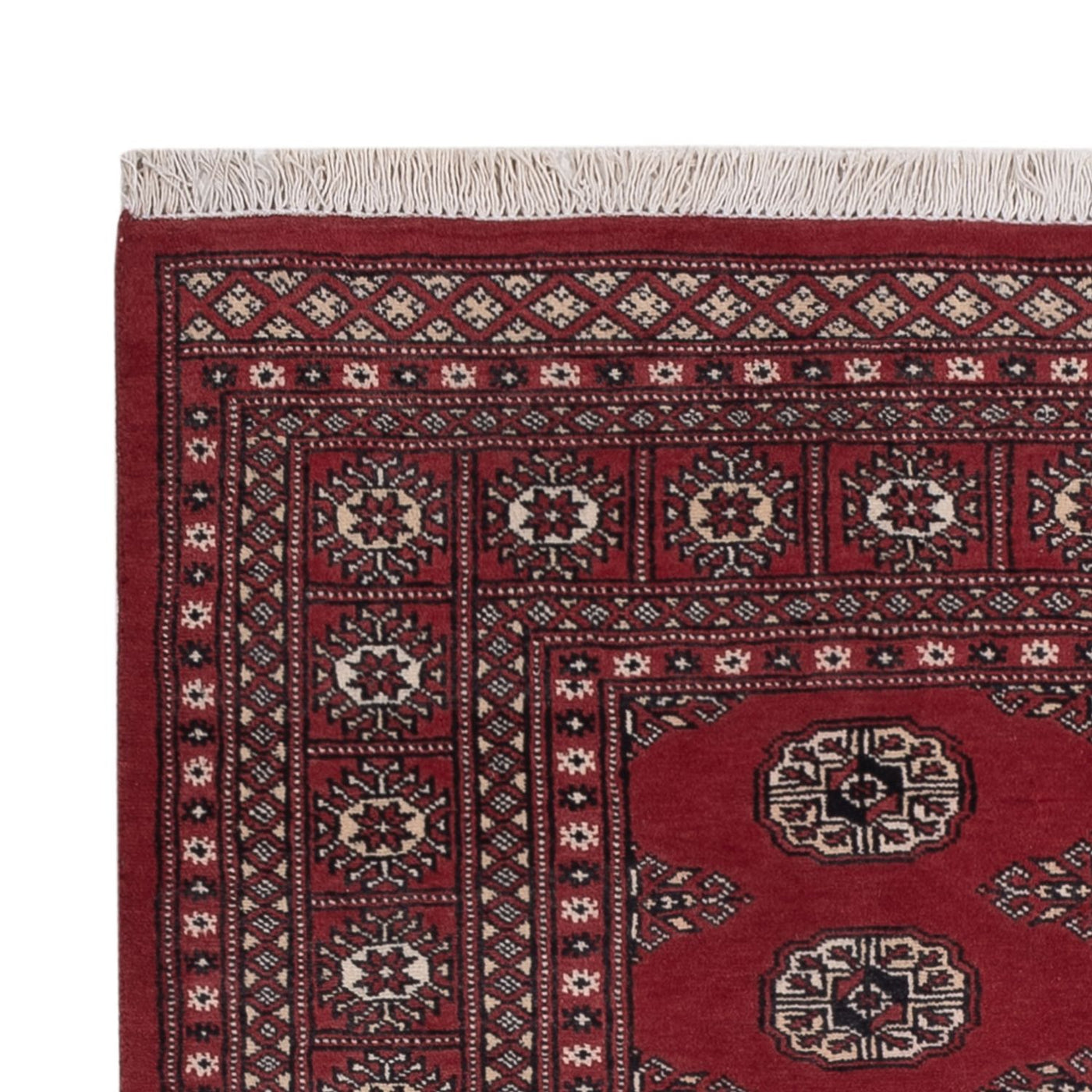 Pakistani Rug 184x134cm - Oriental Rug