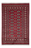 Pakistani Rug - 184 x 122 cm - red