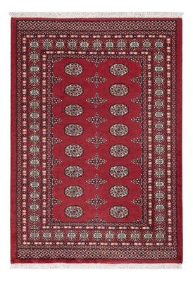 Pakistani Rug - 183 x 124 cm - red