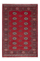 Pakistani Rug 126x185cm - Oriental Rug