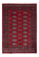 Pakistani Rug 122x178cm - Oriental Rug