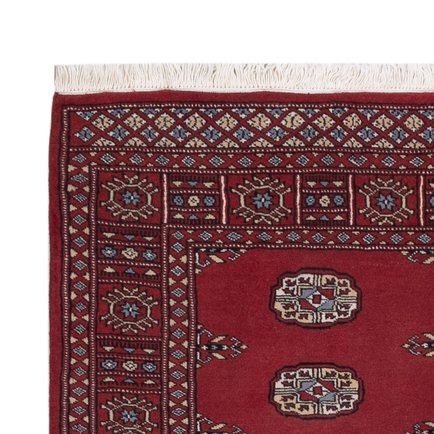Pakistani Rug 169x125cm - Oriental Rug