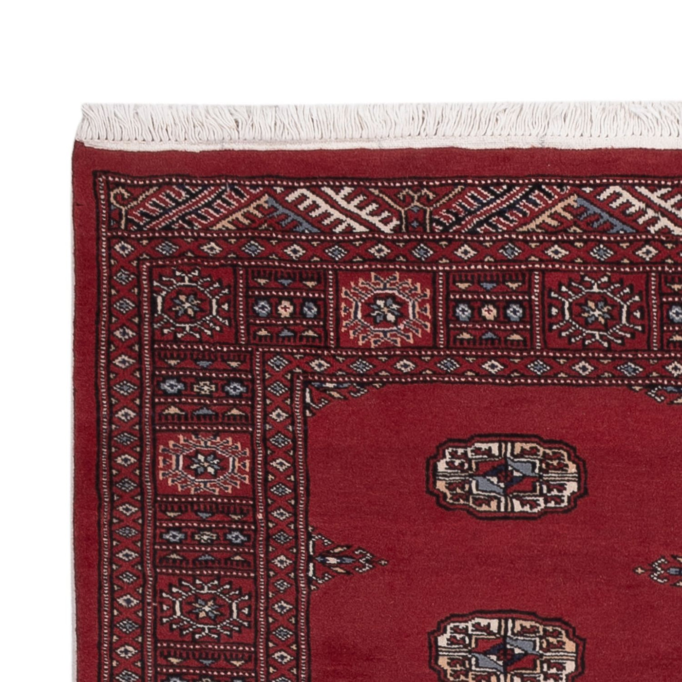 Pakistani Rug 170x128cm - Oriental Rug