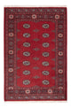 Pakistani Rug 126x184cm - Oriental Rug