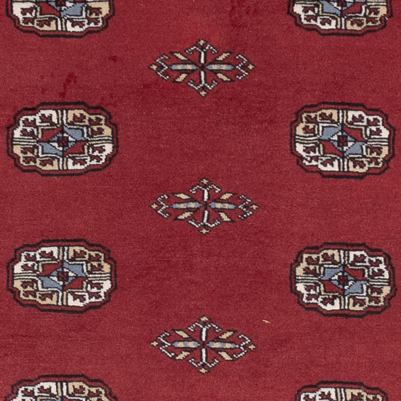 Pakistani Rug - 184 x 126 cm - red