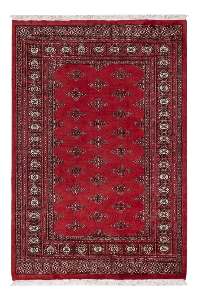 Pakistani Rug - 183 x 124 cm - red