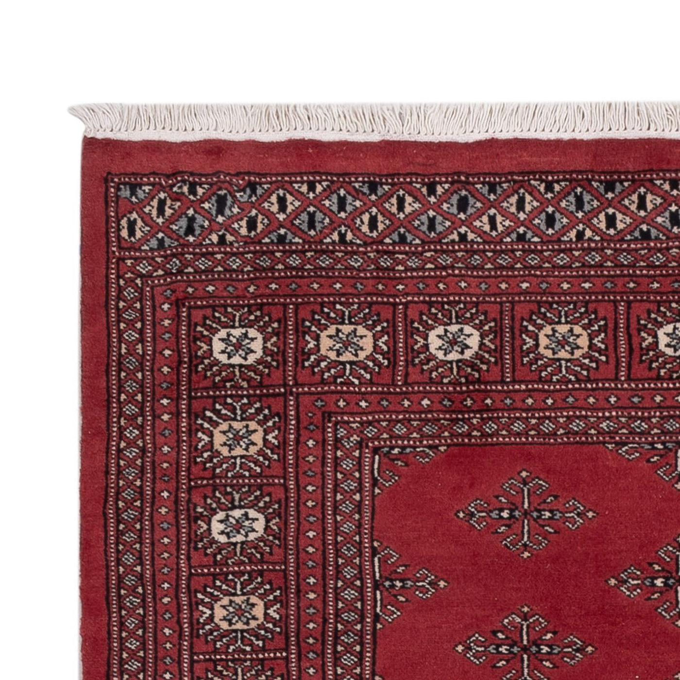 Pakistani Rug 183x124cm - Oriental Rug
