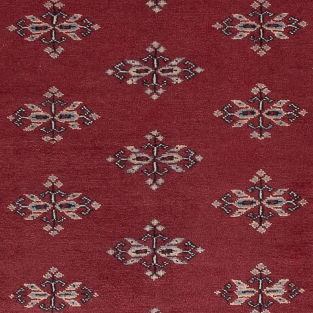 Pakistani Rug - 174 x 126 cm - red