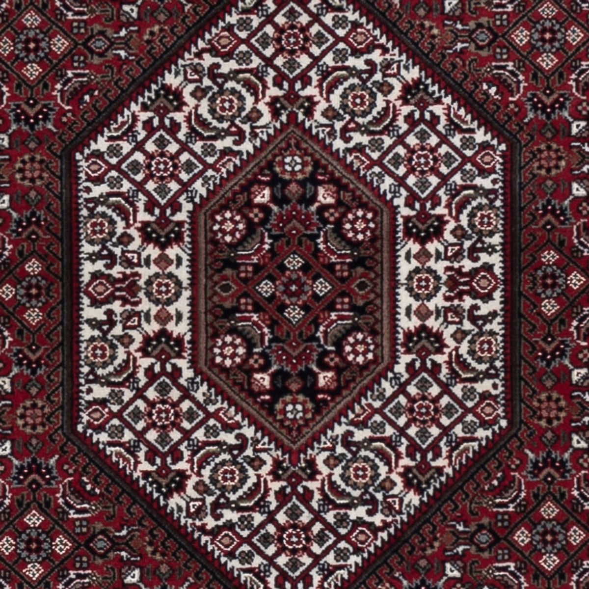 Oriental Rug - Bidjar - Indus - 183 x 127 cm - dark beige