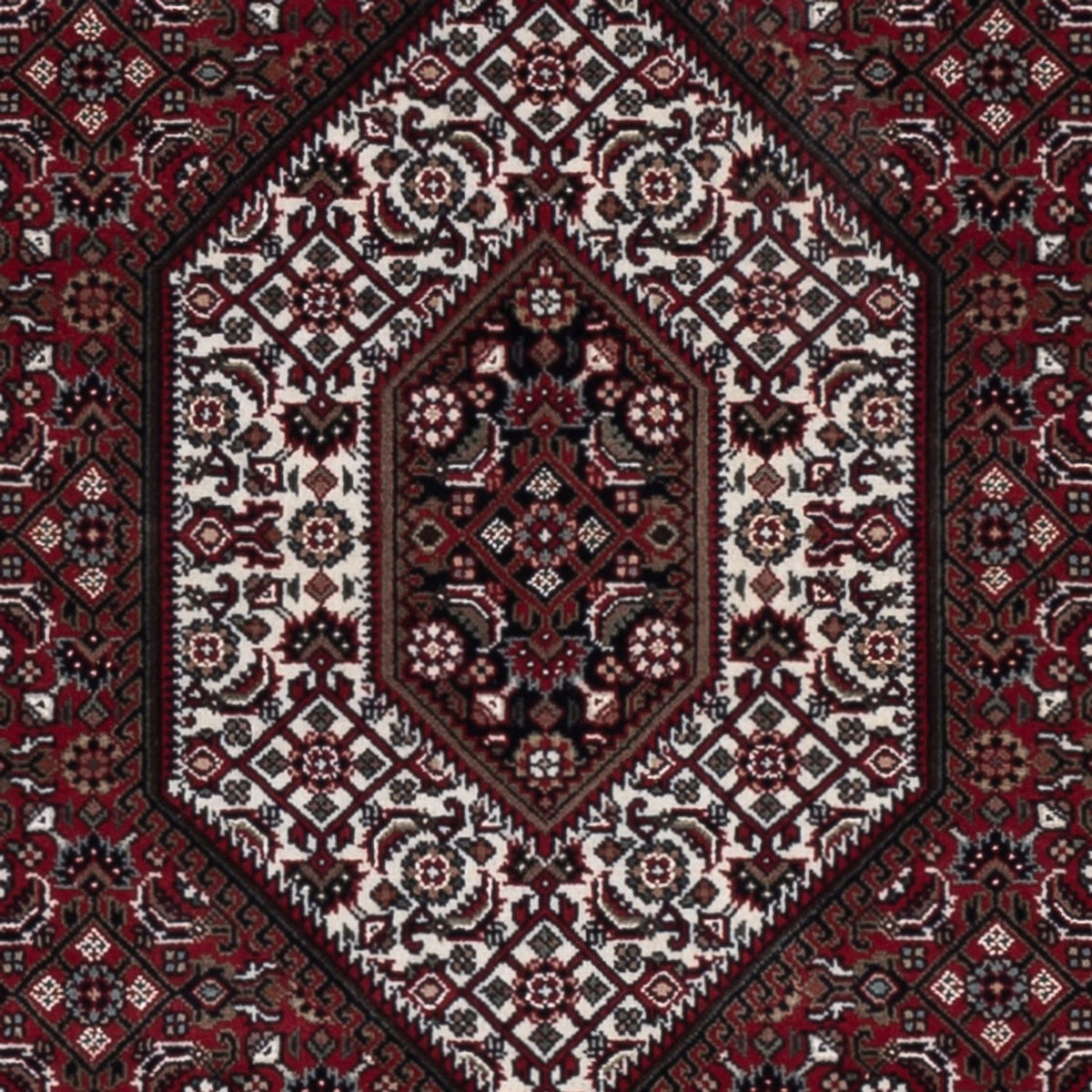 Oriental Rug - Bidjar - Indus - 182 x 122 cm - dark beige