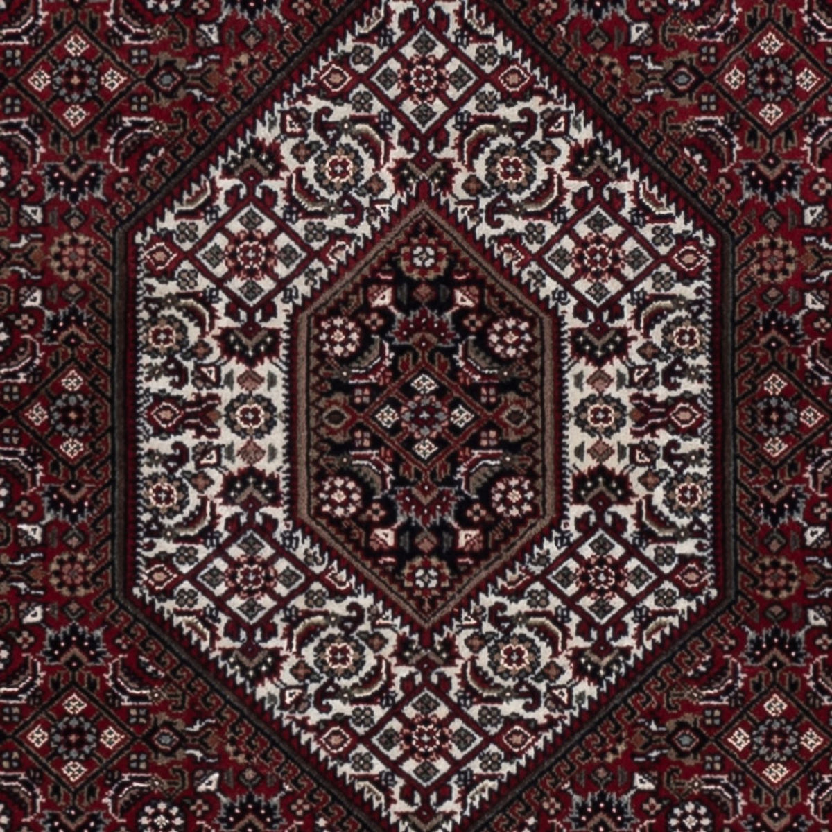 Oriental Rug - Bidjar - Indus - 184 x 122 cm - dark beige
