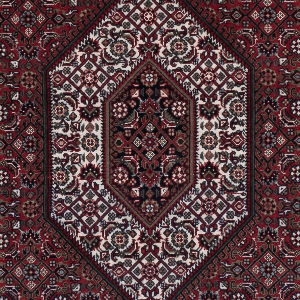 Oriental Rug - Bidjar - Indus - 184 x 121 cm - dark beige