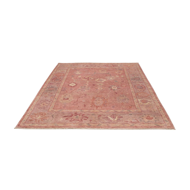 Ziegler Rug - Usak - 243 x 169 cm - light red
