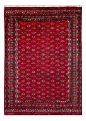 Afghan Rug - Bukhara - 350 x 253 cm - red