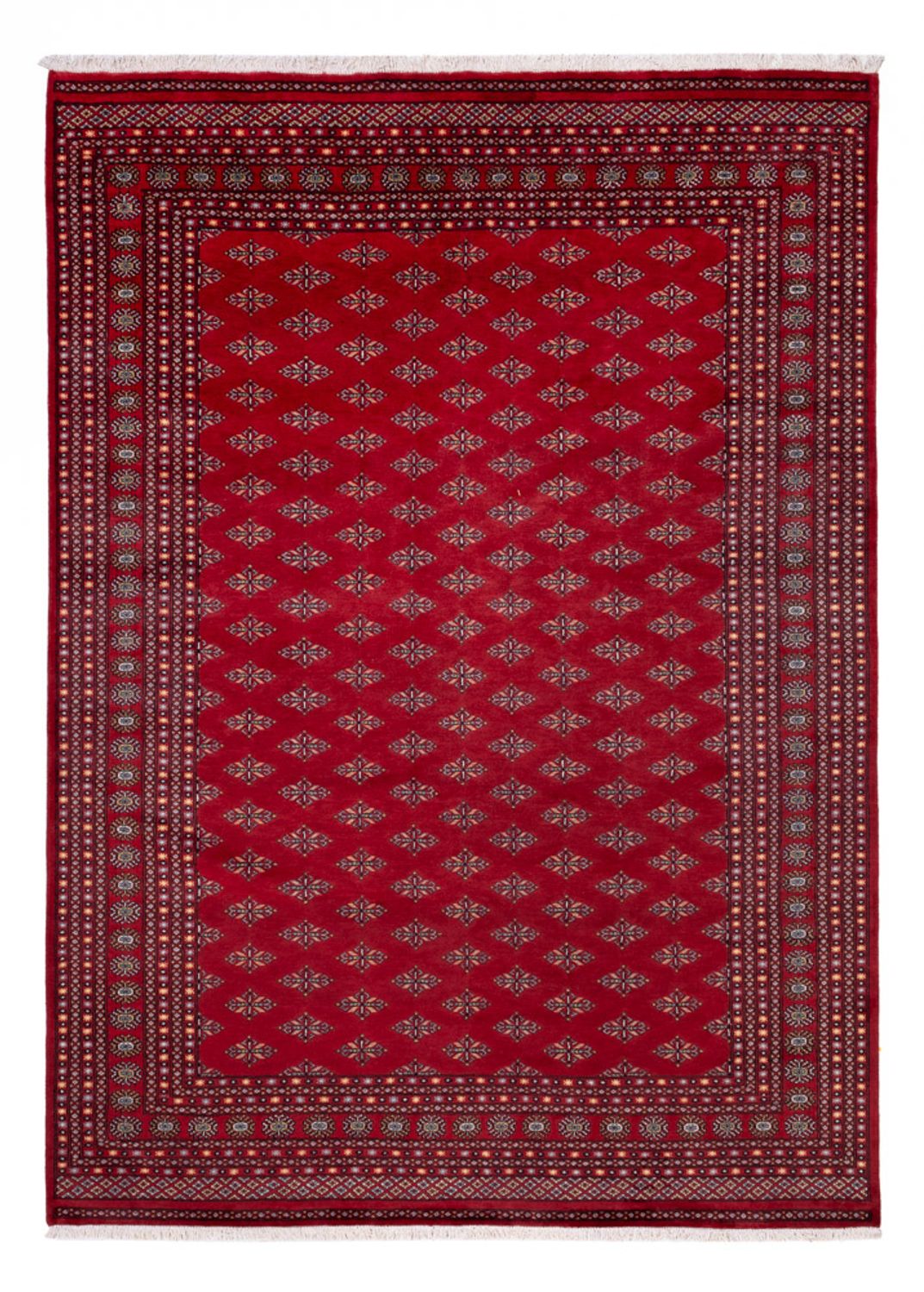 Afghan Rug - Bukhara - 350 x 253 cm - red