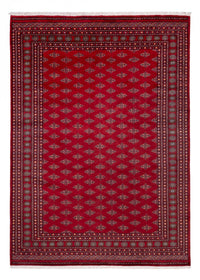 Afghan Rug - Bukhara - 350 x 253 cm - red